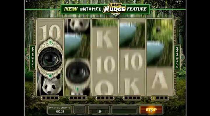 слот под названием «Untamed Giant Panda»