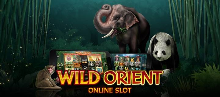 Обзор слота Wild Orient