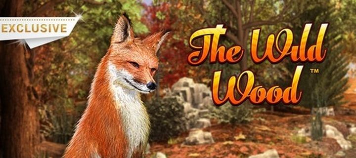 Обзор игрового автомата The Wild Wood от Novomatic