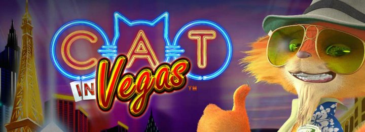 cat in vegas slot review
